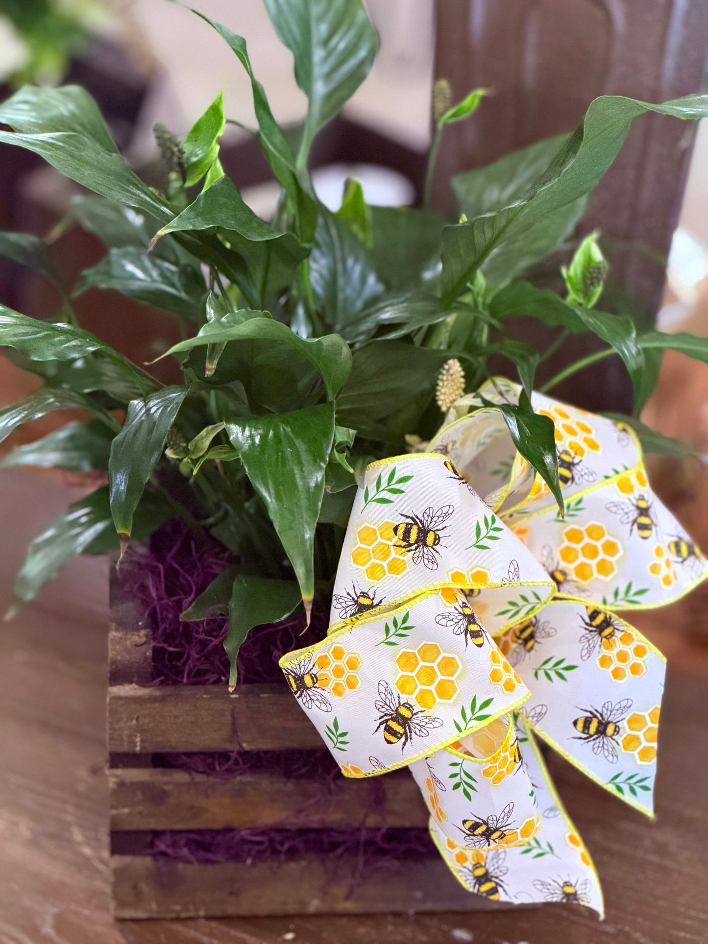 Lily bee plant