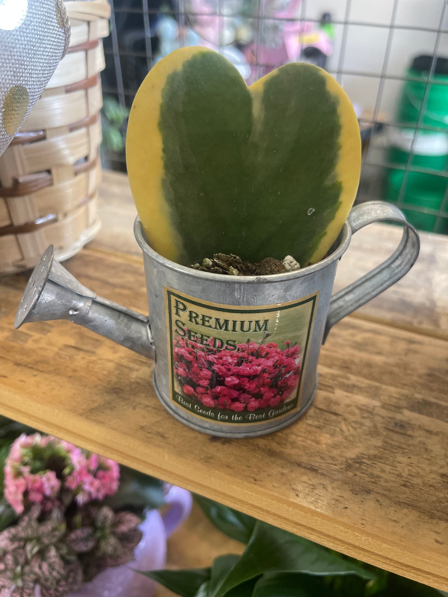 Watering can heart