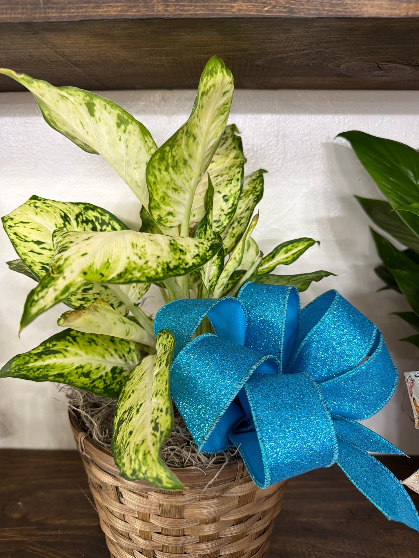 Sending prayers and love