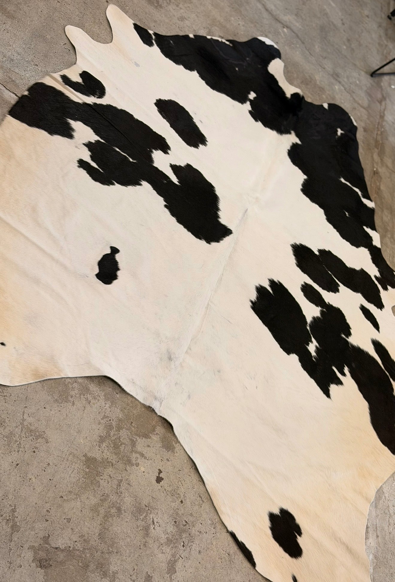 Beth cowhide