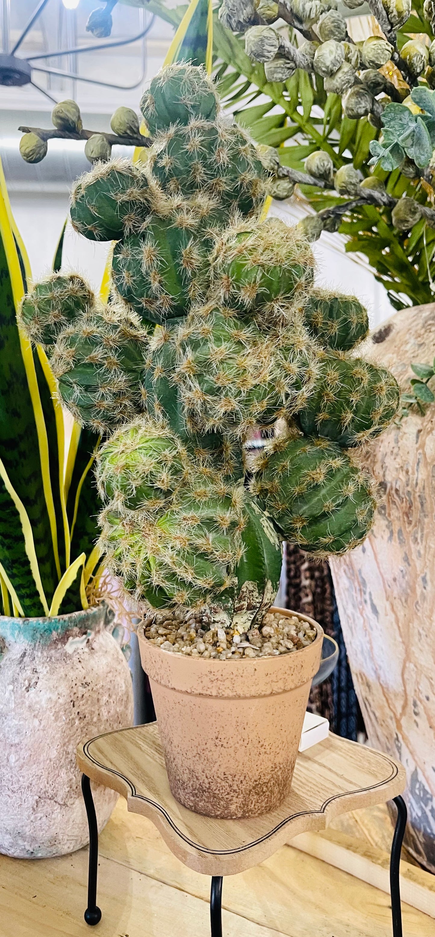 Fake cactus pot
