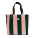 Grab n go mini fern
