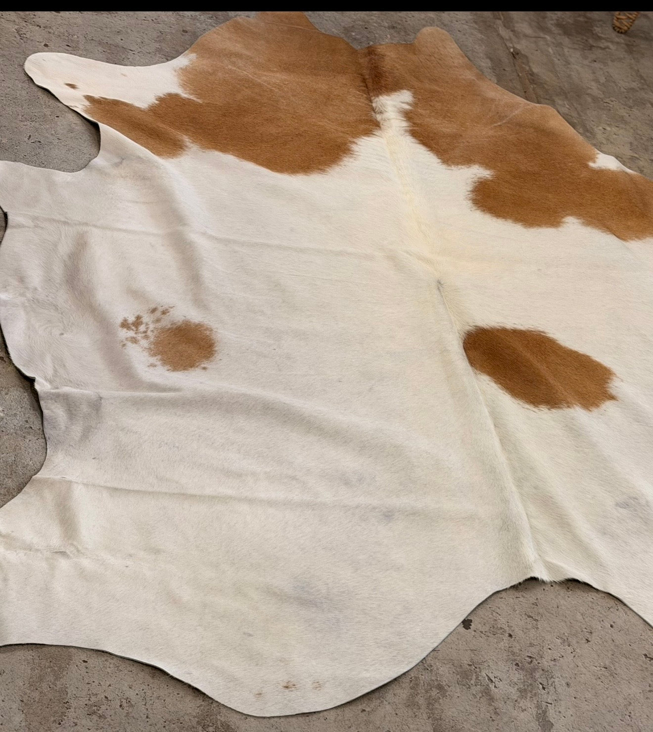 Laney cowhide