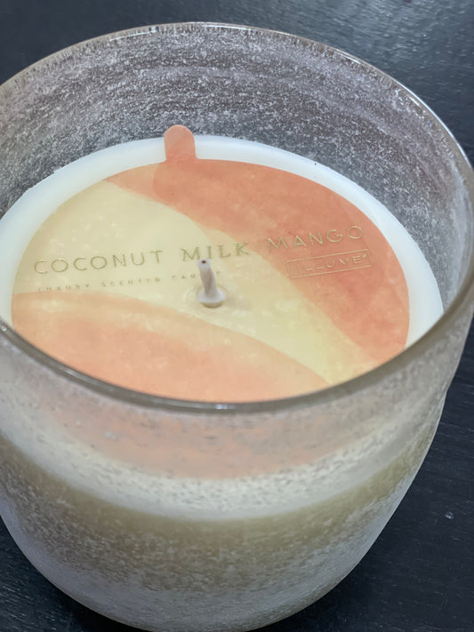 Coconut milk mango