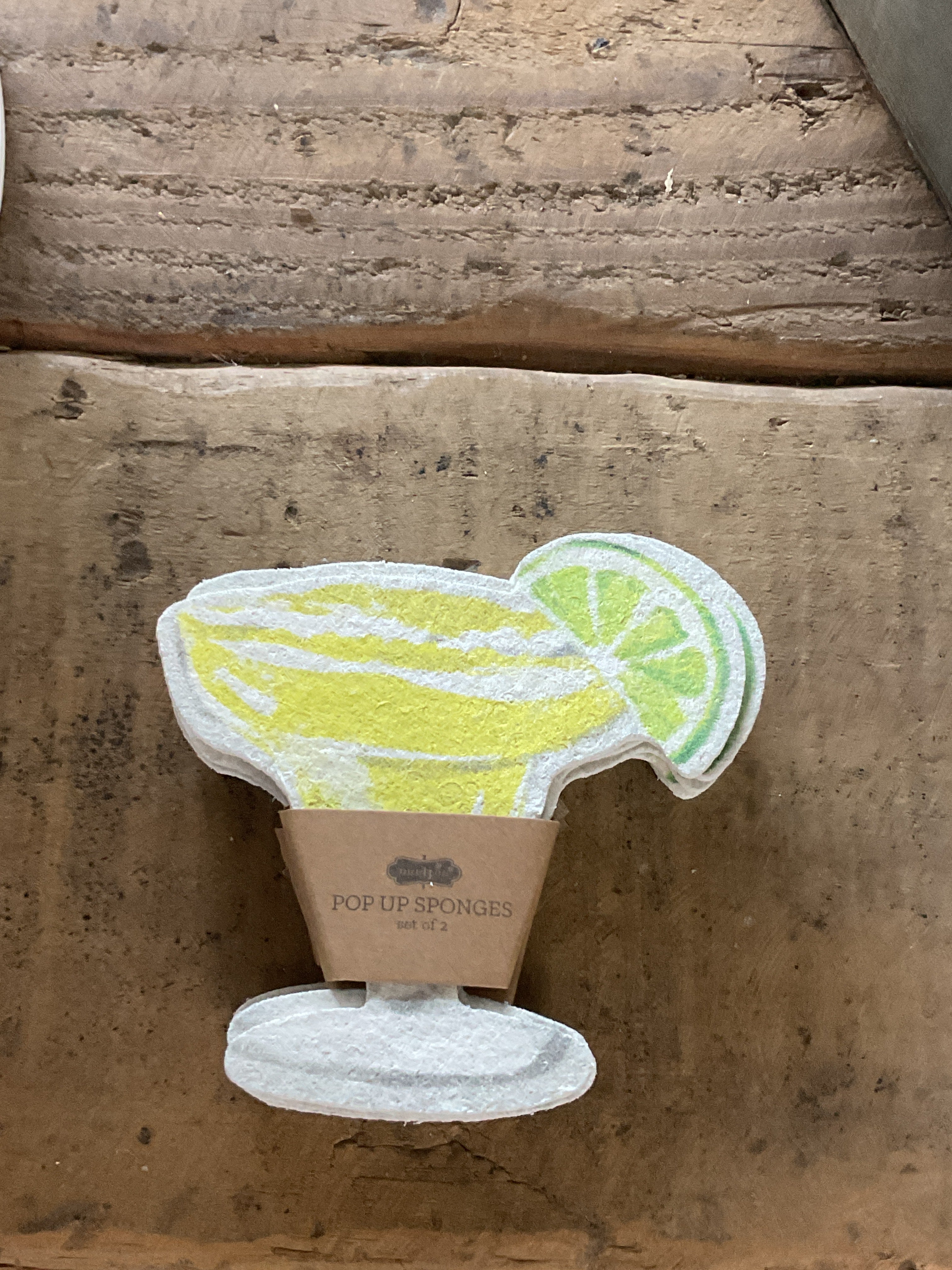 Margarita sponge